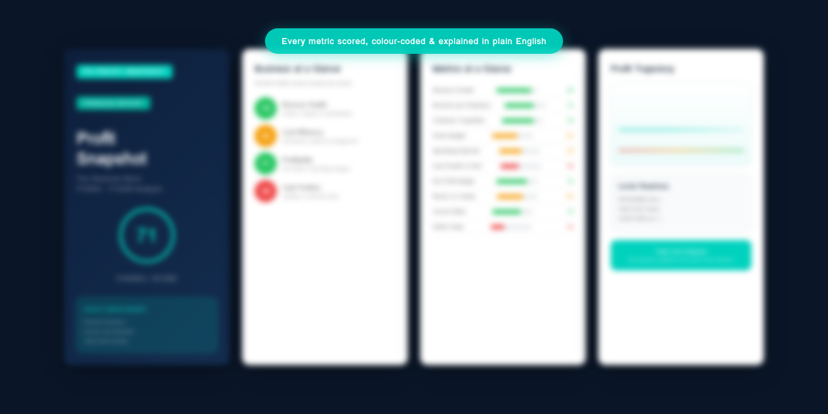 Profit Snapshot Report Preview — scored metrics with green, amber and red ratings, profit trajectory chart, and lender readiness analysis